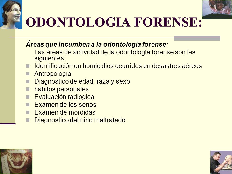 ODONTOLOGIA FORENSE: Áreas que incumben a la odontología forense:
