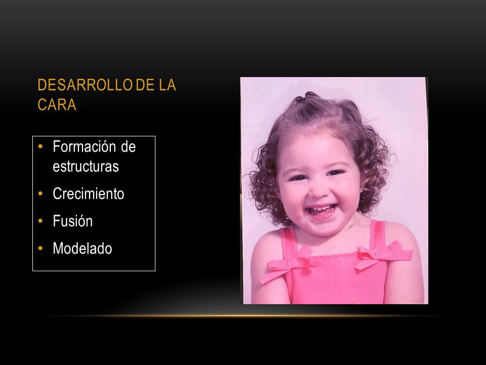 DESARROLLO DE LA CARA Formación de estructuras Crecimiento Fusión Modelado