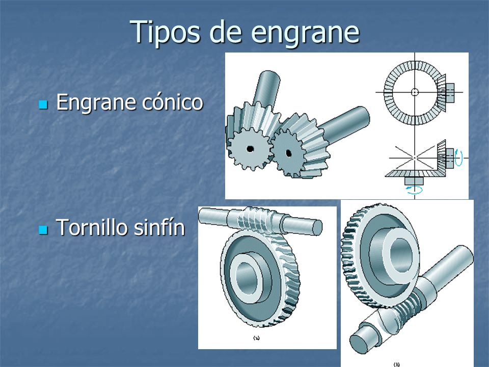 Tipos de engrane Engrane cónico Tornillo sinfín