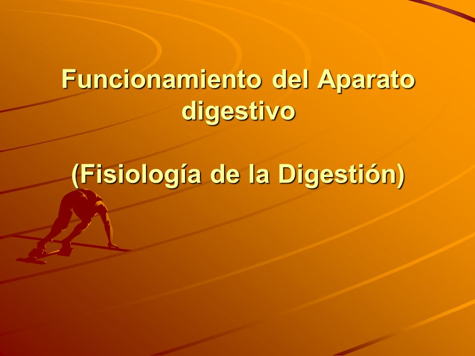 Funcionamiento del Aparato digestivo (Fisiología de la Digestión)