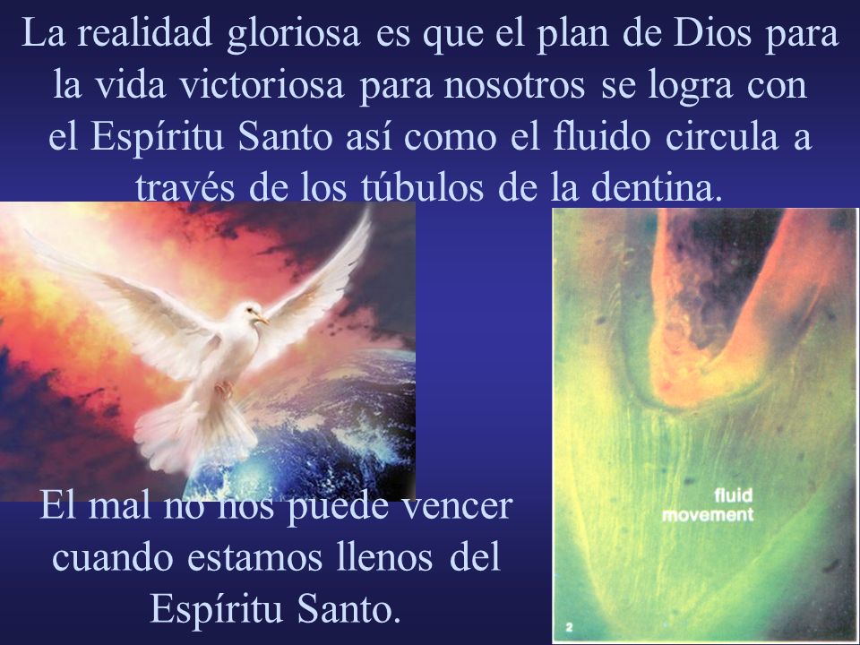 La realidad gloriosa es que el plan de Dios para