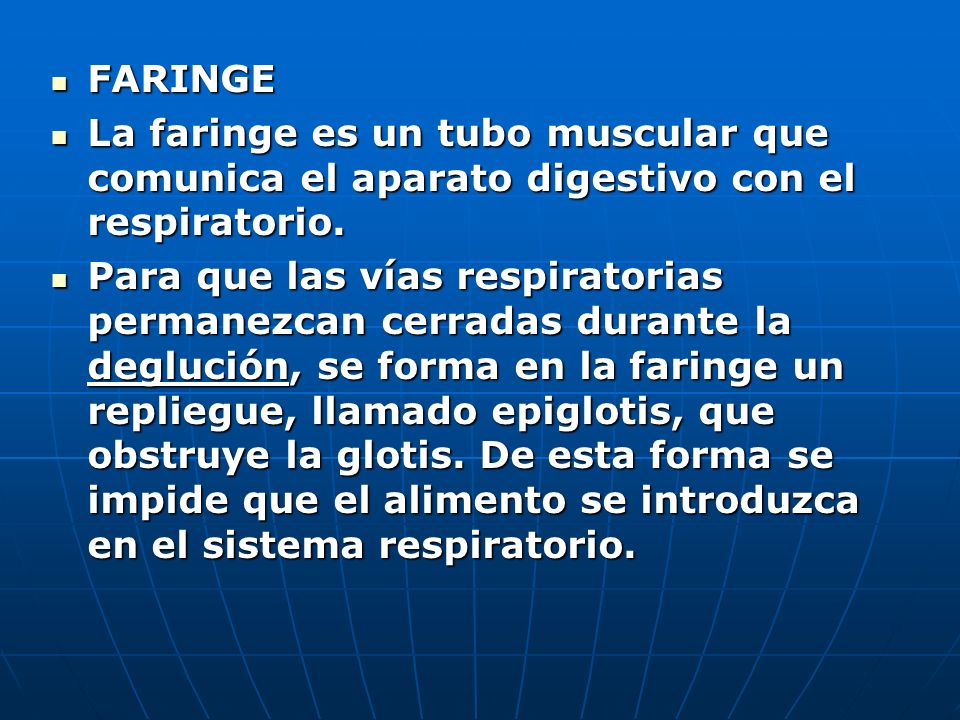 FARINGE La faringe es un tubo muscular que comunica el aparato digestivo con el respiratorio.