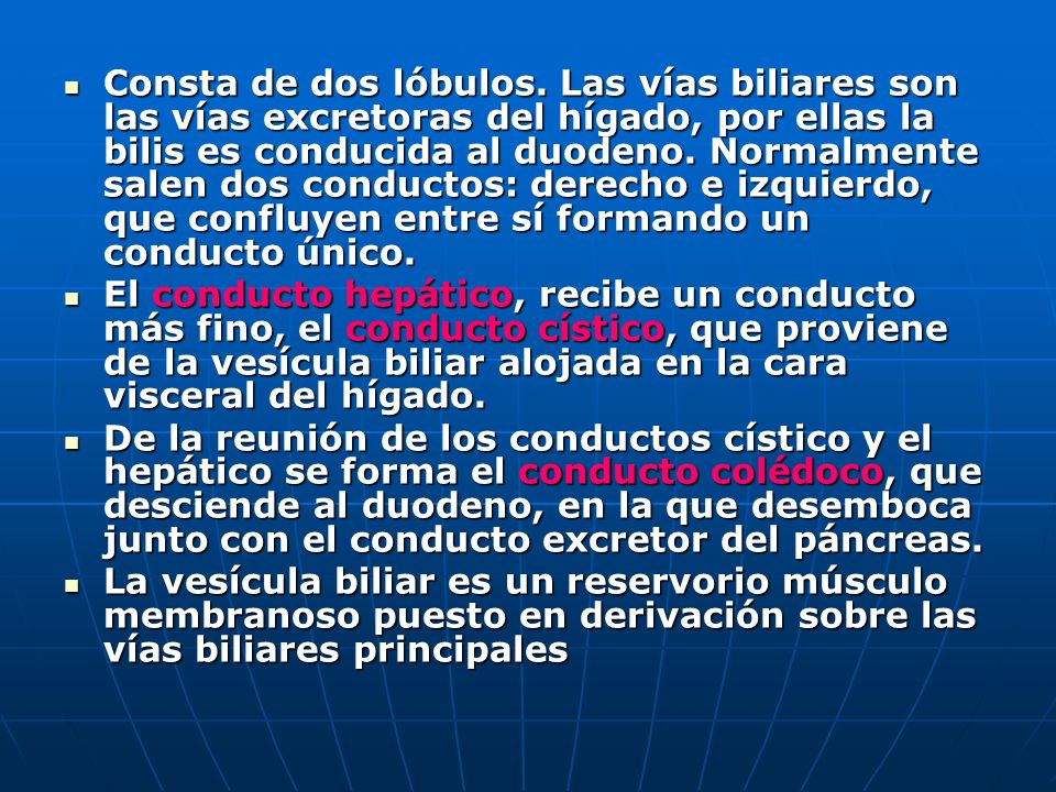 Consta de dos lóbulos. Las vías biliares son las vías excretoras del hígado, por ellas la bilis es conducida al duodeno. Normalmente salen dos conductos: derecho e izquierdo, que confluyen entre sí formando un conducto único.