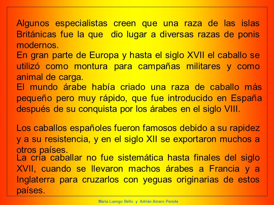 Algunos especialistas creen que una raza de las islas Británicas fue la que dio lugar a diversas razas de ponis modernos.
