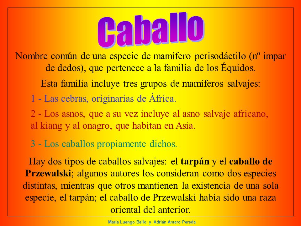 Esta familia incluye tres grupos de mamíferos salvajes: