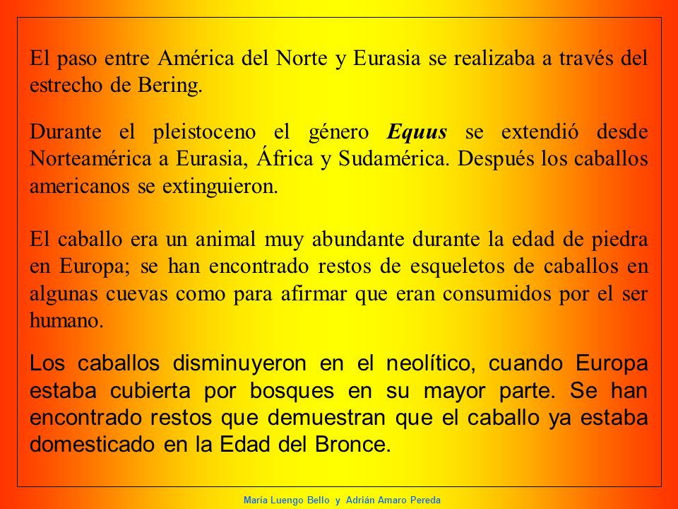 El paso entre América del Norte y Eurasia se realizaba a través del estrecho de Bering.