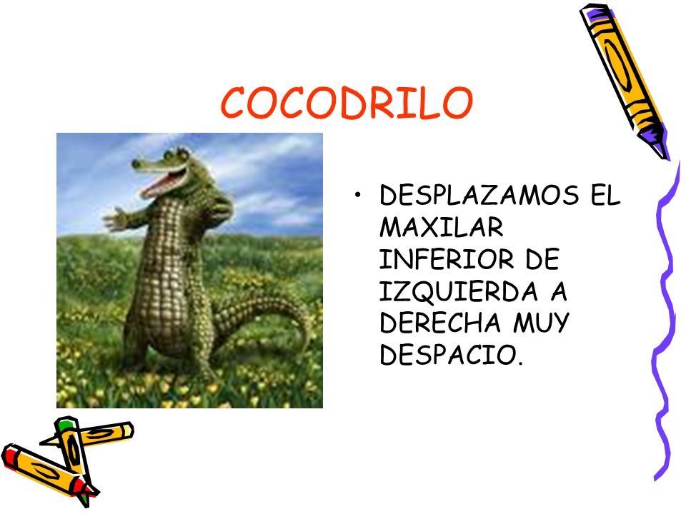 COCODRILO DESPLAZAMOS EL MAXILAR INFERIOR DE IZQUIERDA A DERECHA MUY DESPACIO.