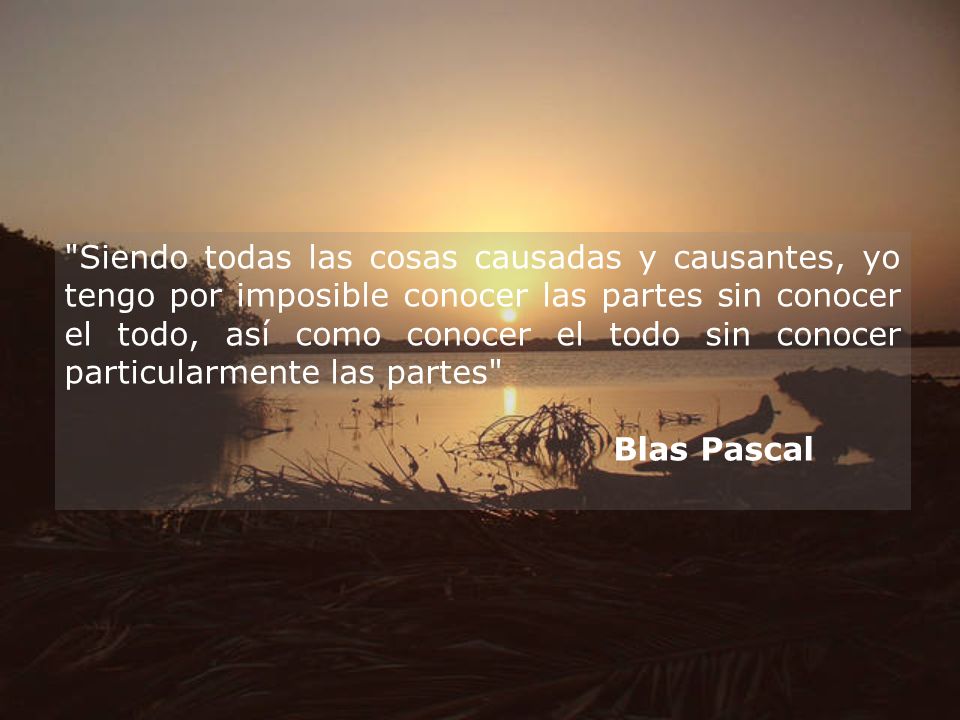 Siendo todas las cosas causadas y causantes, yo tengo por imposible conocer las partes sin conocer el todo, así como conocer el todo sin conocer particularmente las partes