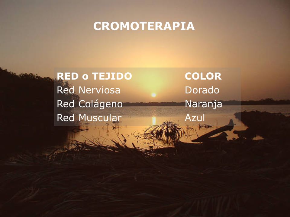 CROMOTERAPIA RED o TEJIDO COLOR Red Nerviosa Dorado