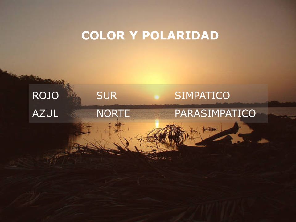 COLOR Y POLARIDAD ROJO SUR SIMPATICO AZUL NORTE PARASIMPATICO