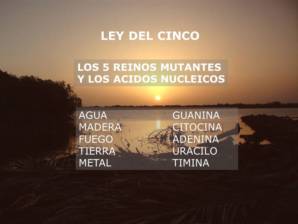 LEY DEL CINCO LOS 5 REINOS MUTANTES Y LOS ACIDOS NUCLEICOS