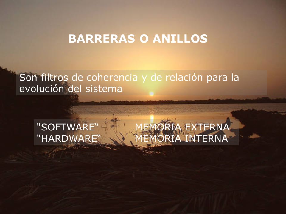 BARRERAS O ANILLOS Son filtros de coherencia y de relación para la evolución del sistema. SOFTWARE MEMORIA EXTERNA.