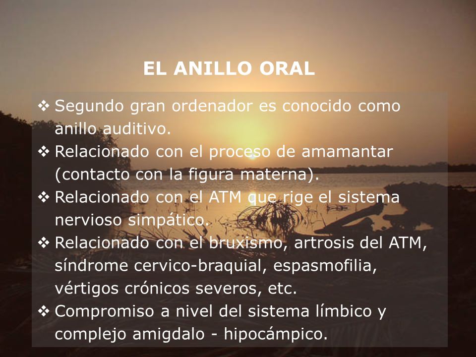 EL ANILLO ORAL Segundo gran ordenador es conocido como anillo auditivo. Relacionado con el proceso de amamantar (contacto con la figura materna).