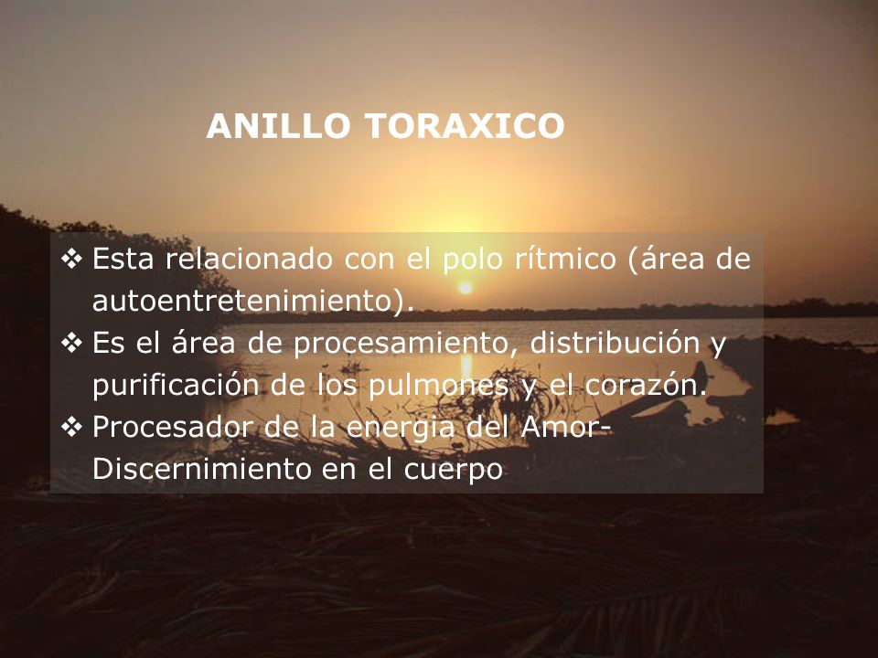 ANILLO TORAXICO Esta relacionado con el polo rítmico (área de autoentretenimiento).
