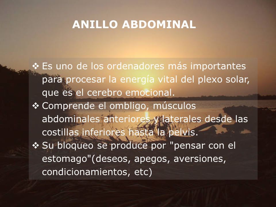ANILLO ABDOMINAL Es uno de los ordenadores más importantes para procesar la energía vital del plexo solar, que es el cerebro emocional.