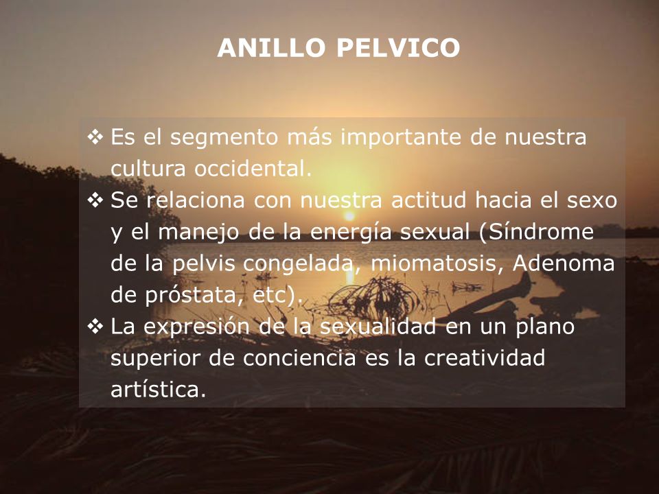 ANILLO PELVICO Es el segmento más importante de nuestra cultura occidental.