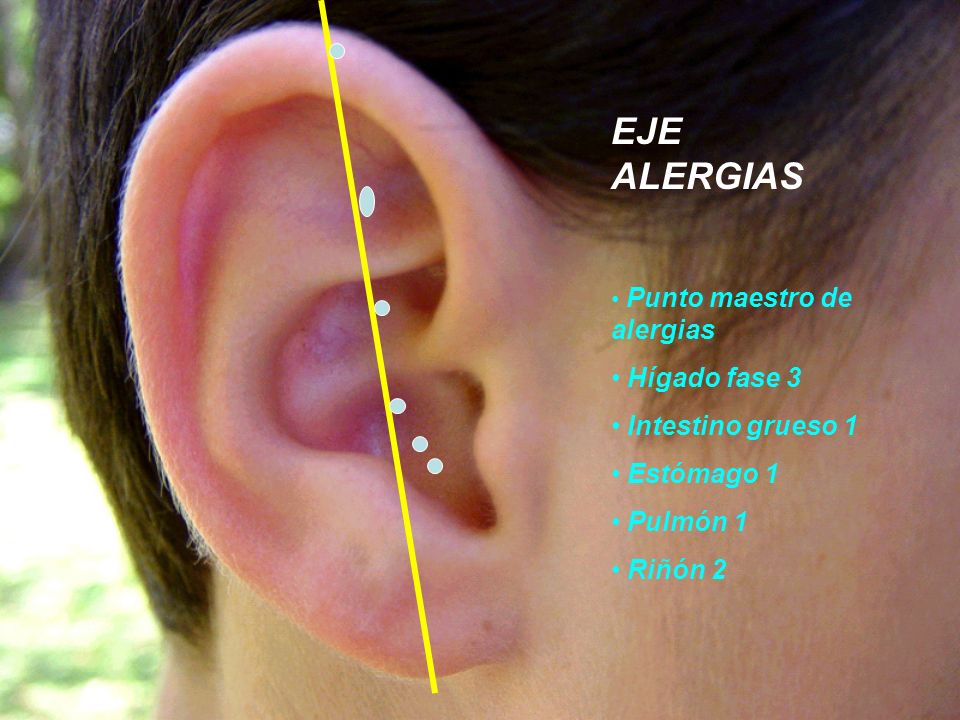 EJE ALERGIAS Hígado fase 3 Intestino grueso 1 Estómago 1 Pulmón 1