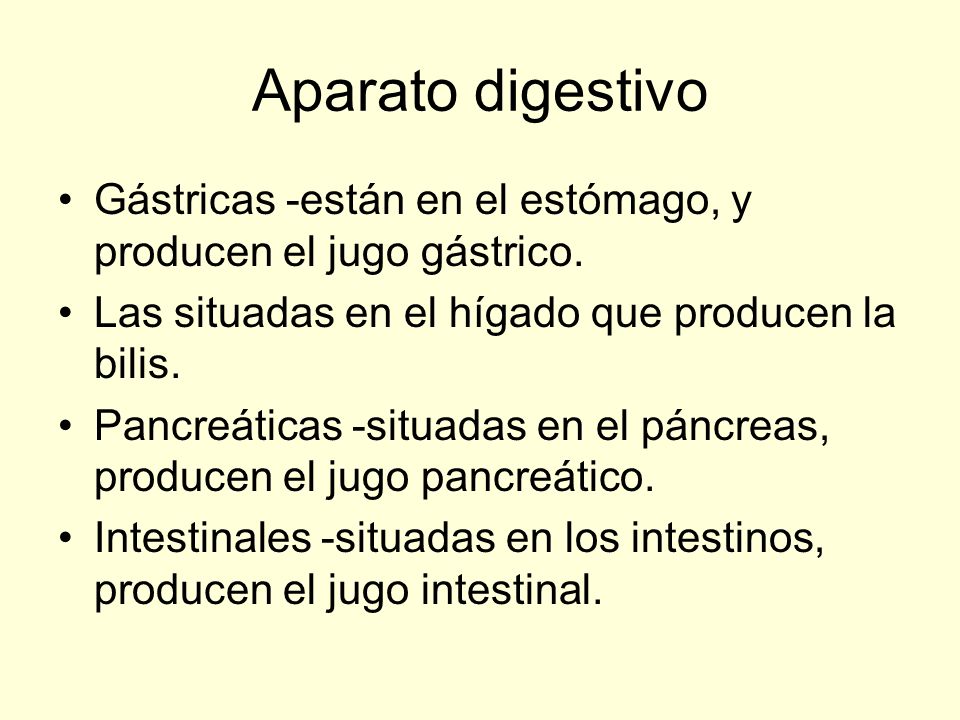 Aparato digestivo Gástricas -están en el estómago, y producen el jugo gástrico. Las situadas en el hígado que producen la bilis.