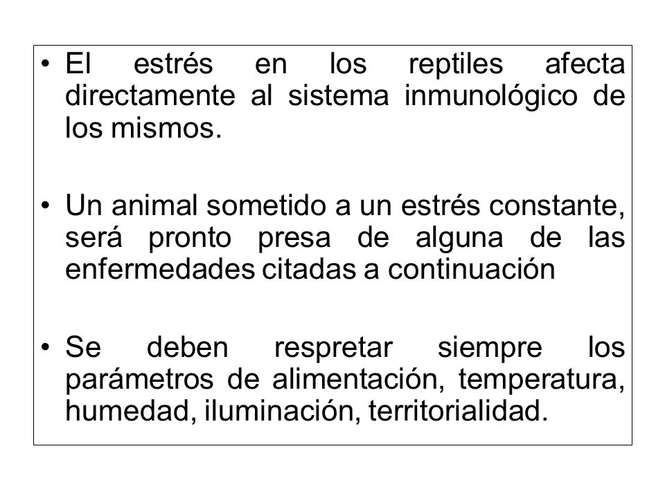 El estrés en los reptiles afecta directamente al sistema inmunológico de los mismos.