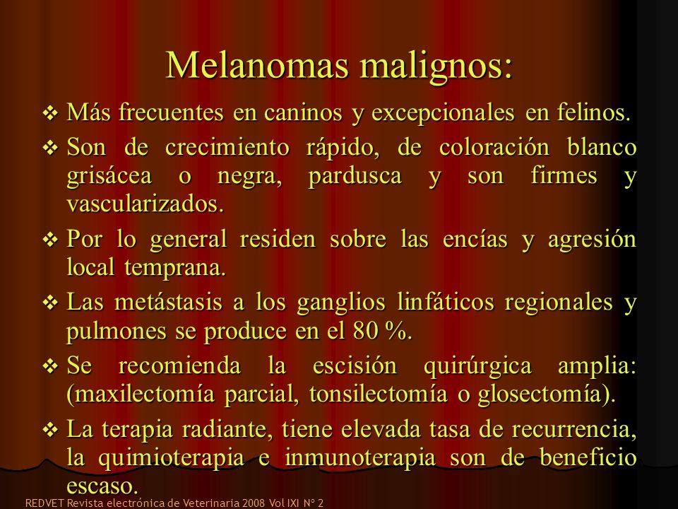 Melanomas malignos: Más frecuentes en caninos y excepcionales en felinos.