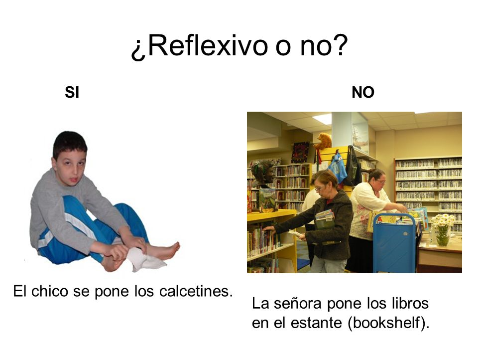 ¿Reflexivo o no SI NO El chico se pone los calcetines.
