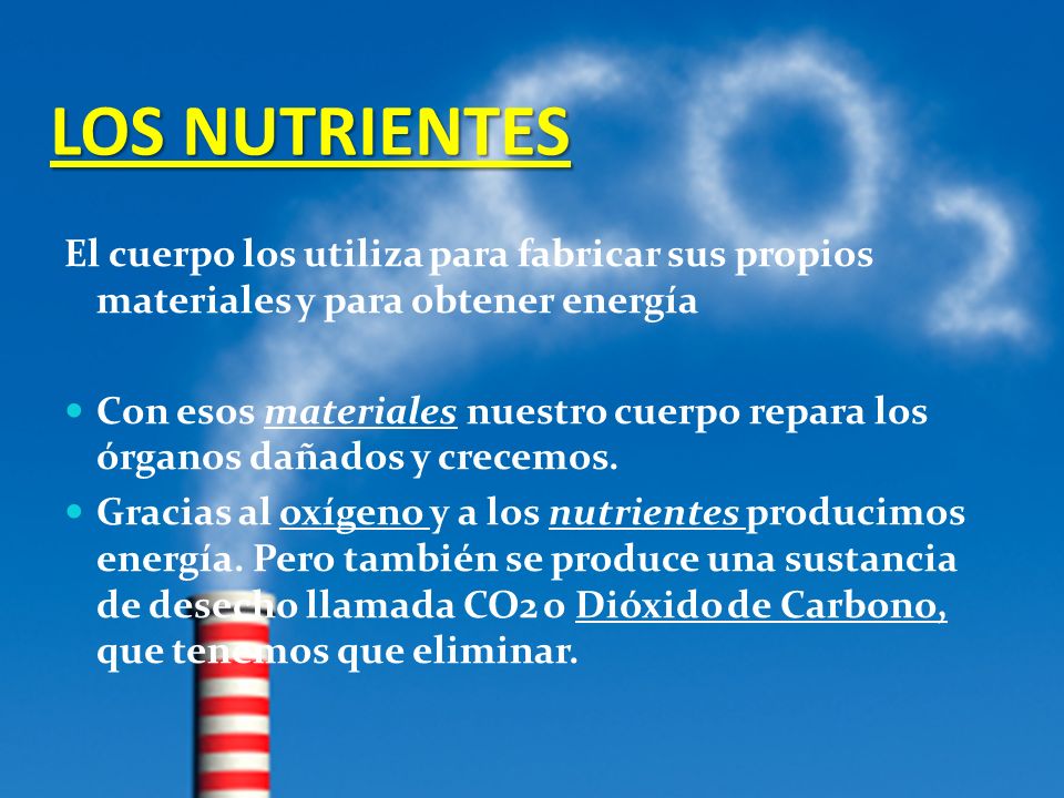 LOS NUTRIENTES El cuerpo los utiliza para fabricar sus propios materiales y para obtener energía.