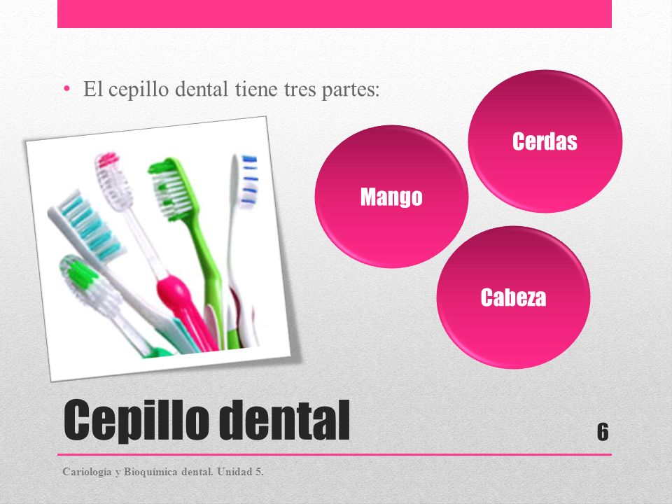 Cepillo dental El cepillo dental tiene tres partes: Cerdas Mango