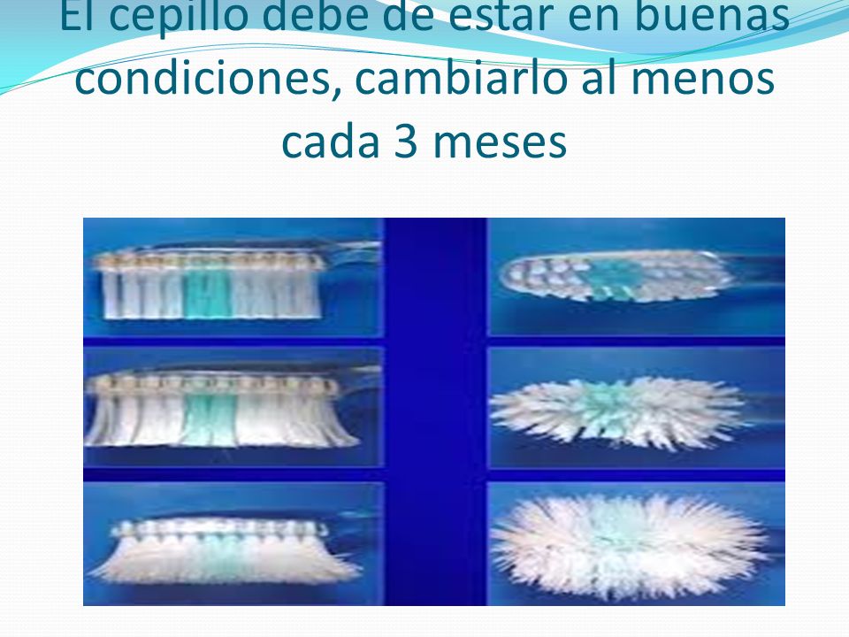 El cepillo debe de estar en buenas condiciones, cambiarlo al menos cada 3 meses