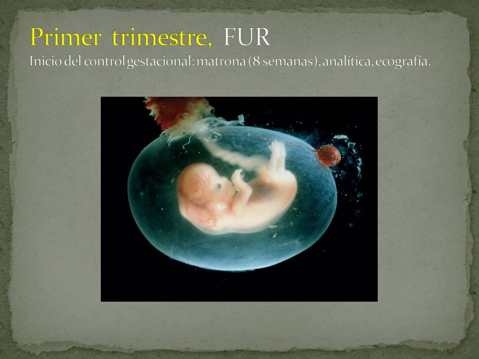Primer trimestre, FUR Inicio del control gestacional: matrona (8 semanas), analítica, ecografía.