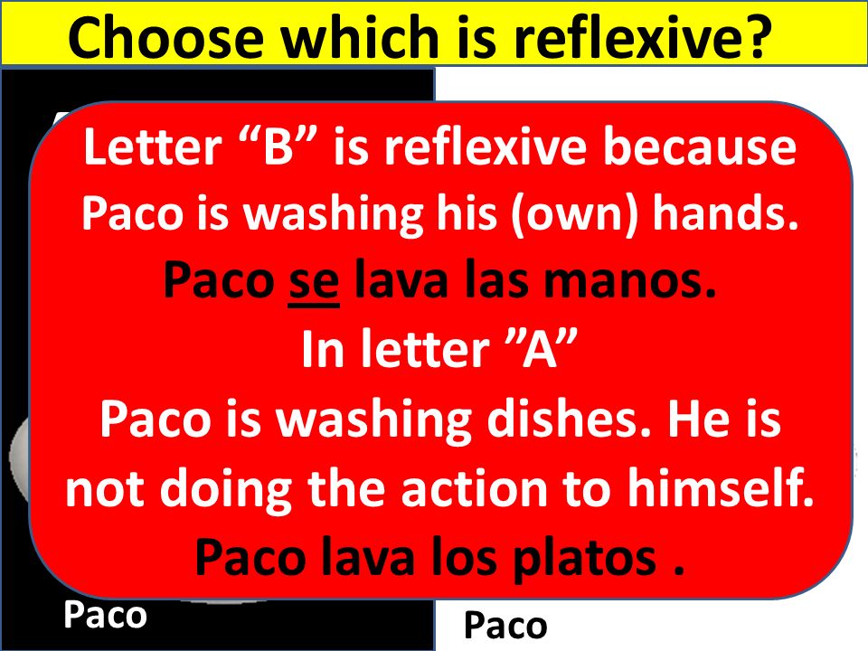 B A Choose which is reflexive Letter B is reflexive because