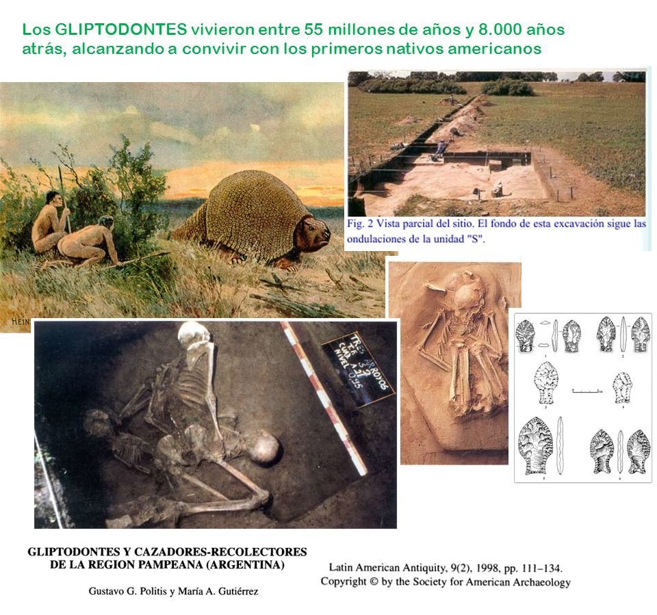 Los GLIPTODONTES vivieron entre 55 millones de años y 8
