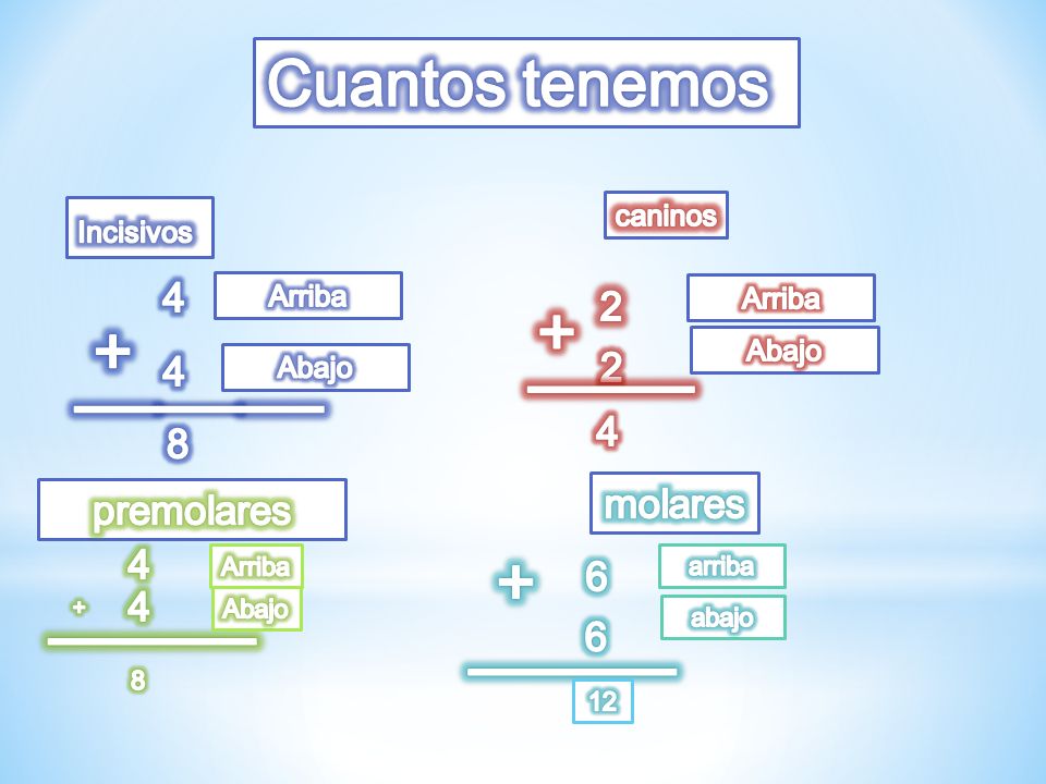 + + ____ ______ + _____ _____ Cuantos tenemos molares