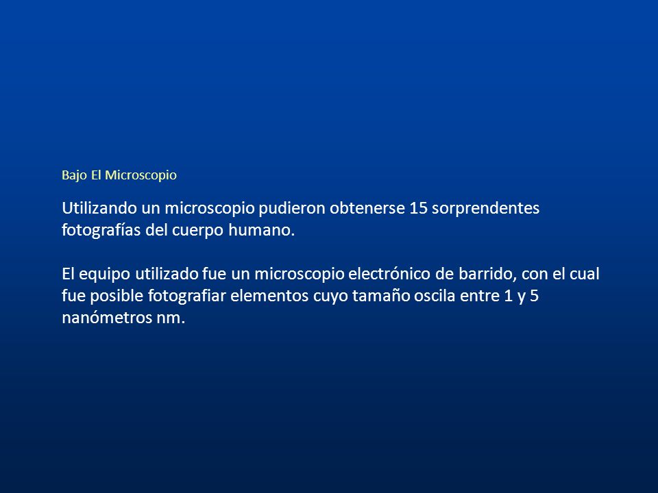 Bajo El Microscopio Utilizando un microscopio pudieron obtenerse 15 sorprendentes fotografías del cuerpo humano.