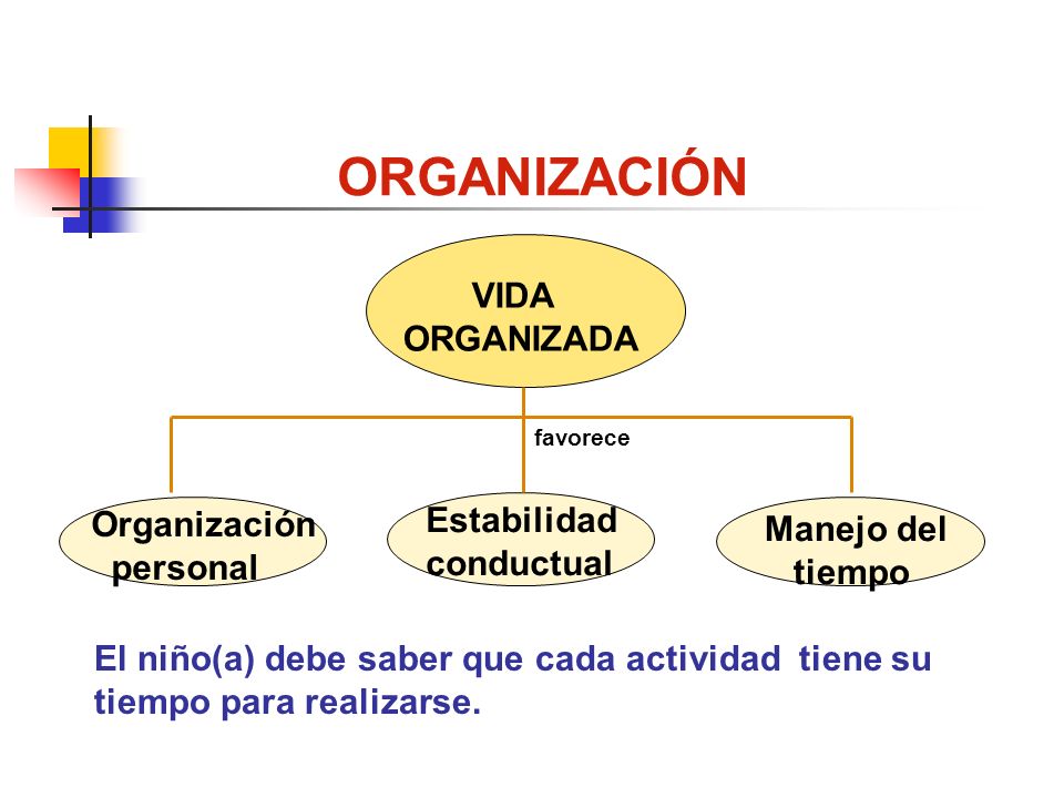 ORGANIZACIÓN VIDA ORGANIZADA Estabilidad Organización Manejo del