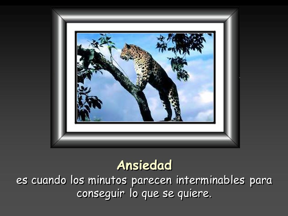 Ansiedad es cuando los minutos parecen interminables para conseguir lo que se quiere.