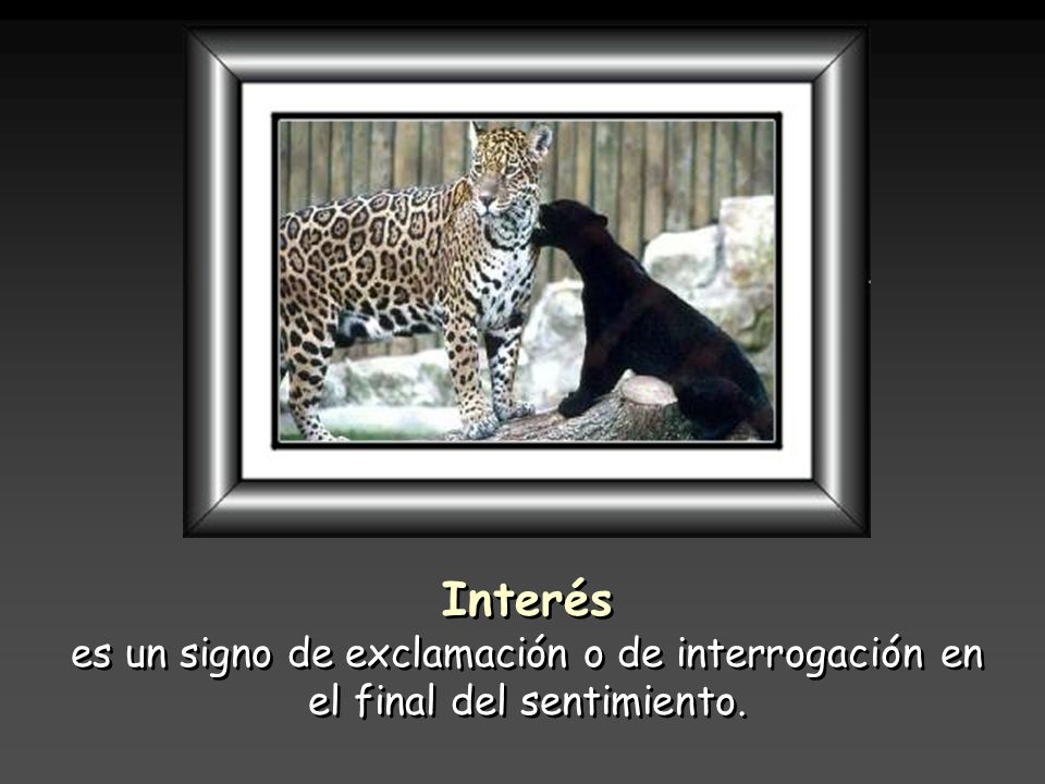 Interés es un signo de exclamación o de interrogación en el final del sentimiento.