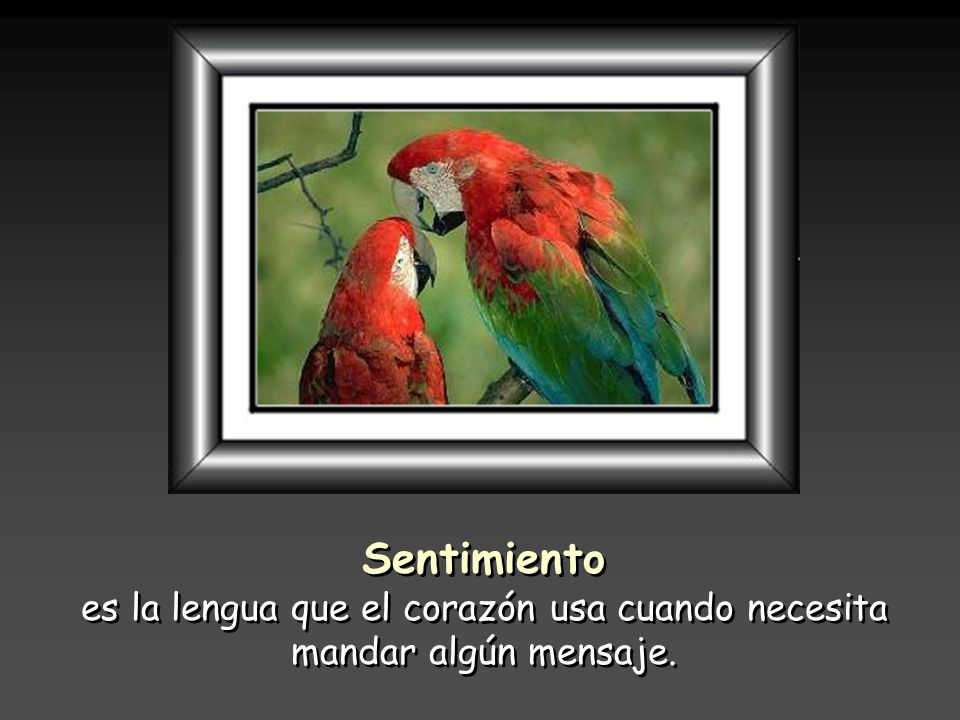 es la lengua que el corazón usa cuando necesita mandar algún mensaje.