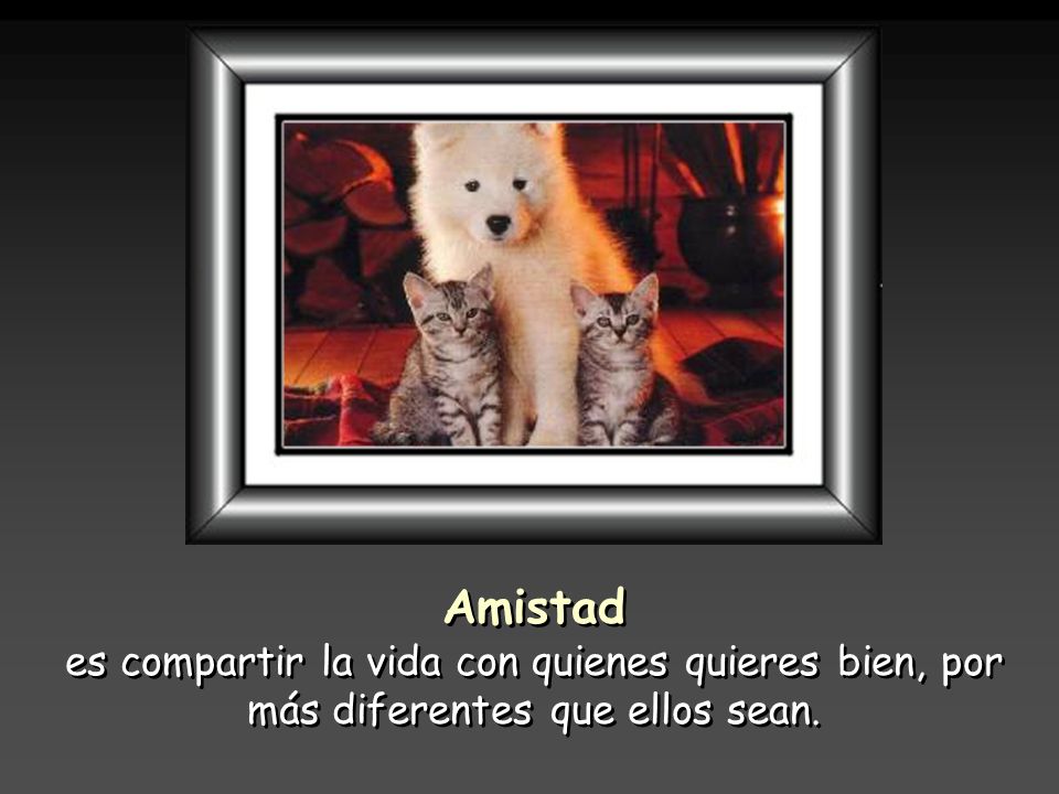 Amistad es compartir la vida con quienes quieres bien, por más diferentes que ellos sean.