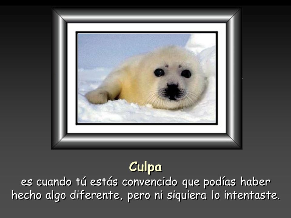 Culpa es cuando tú estás convencido que podías haber hecho algo diferente, pero ni siquiera lo intentaste.