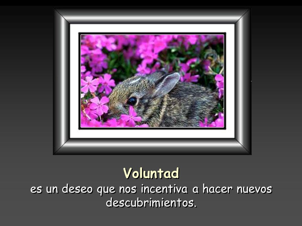 es un deseo que nos incentiva a hacer nuevos descubrimientos.