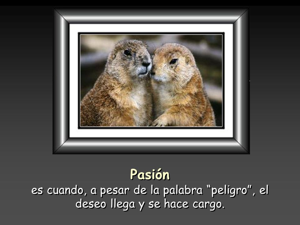 Pasión es cuando, a pesar de la palabra peligro , el deseo llega y se hace cargo.