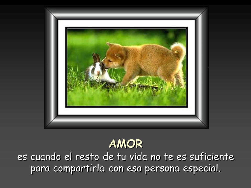 AMOR es cuando el resto de tu vida no te es suficiente para compartirla con esa persona especial.
