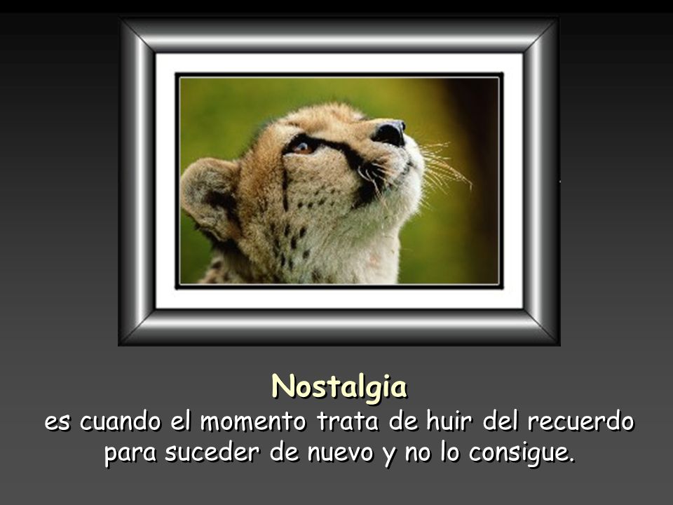 Nostalgia es cuando el momento trata de huir del recuerdo para suceder de nuevo y no lo consigue.