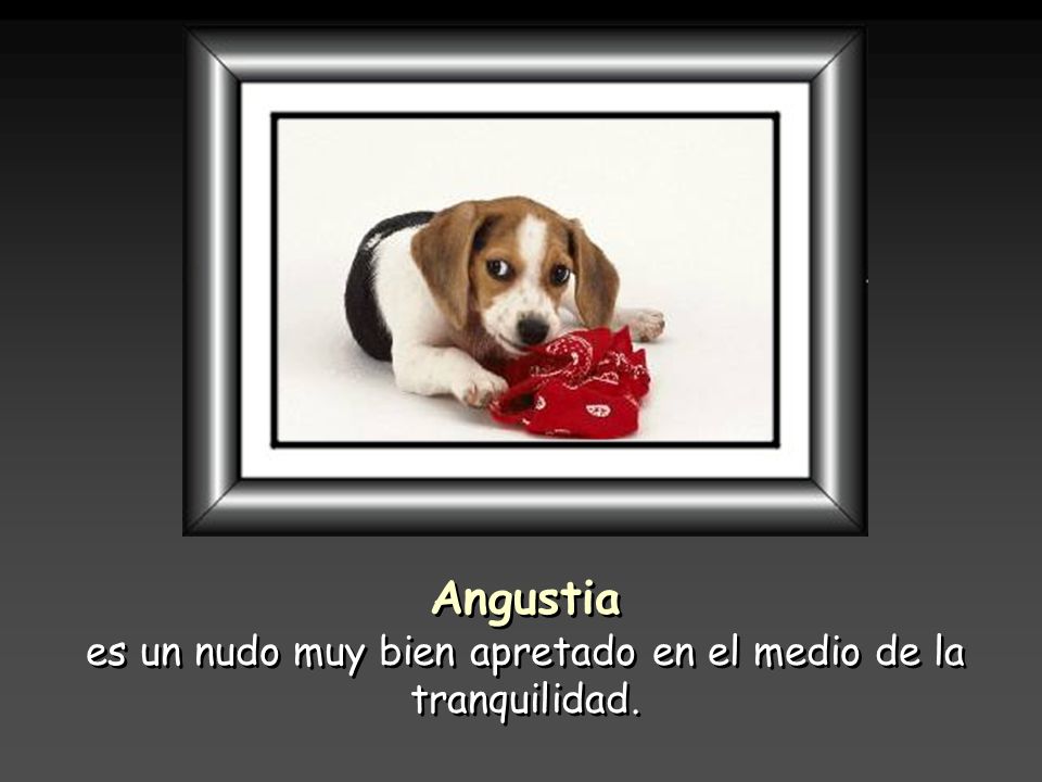 es un nudo muy bien apretado en el medio de la tranquilidad.