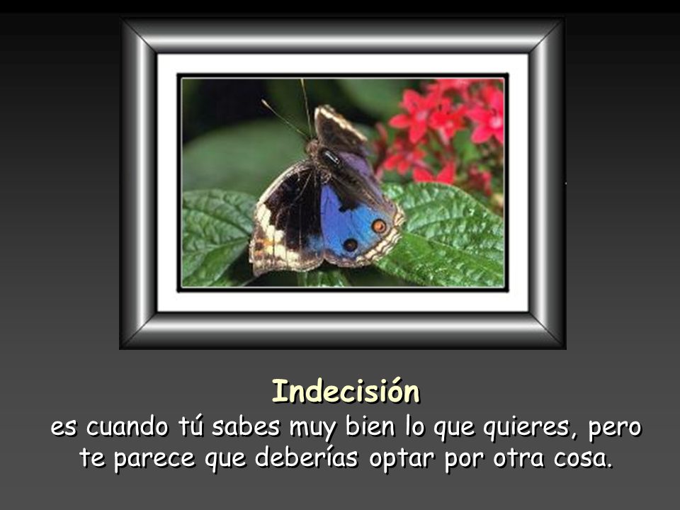 Indecisión es cuando tú sabes muy bien lo que quieres, pero te parece que deberías optar por otra cosa.