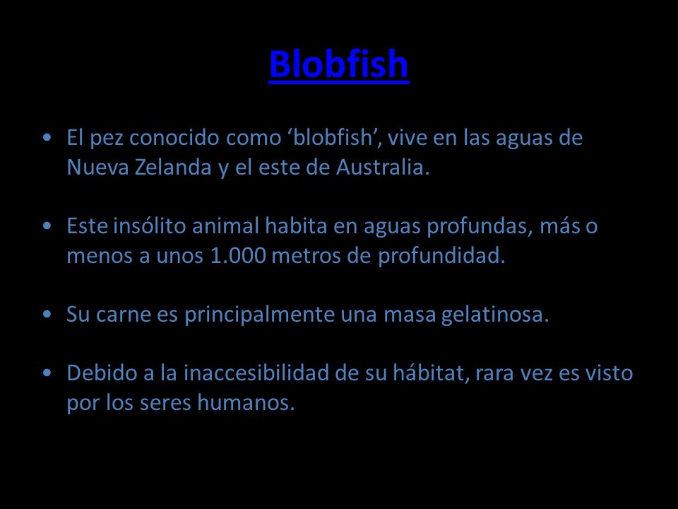 Blobfish El pez conocido como ‘blobfish’, vive en las aguas de Nueva Zelanda y el este de Australia.