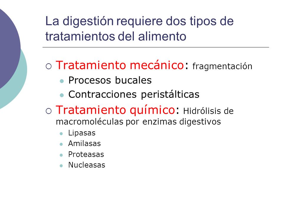 La digestión requiere dos tipos de tratamientos del alimento