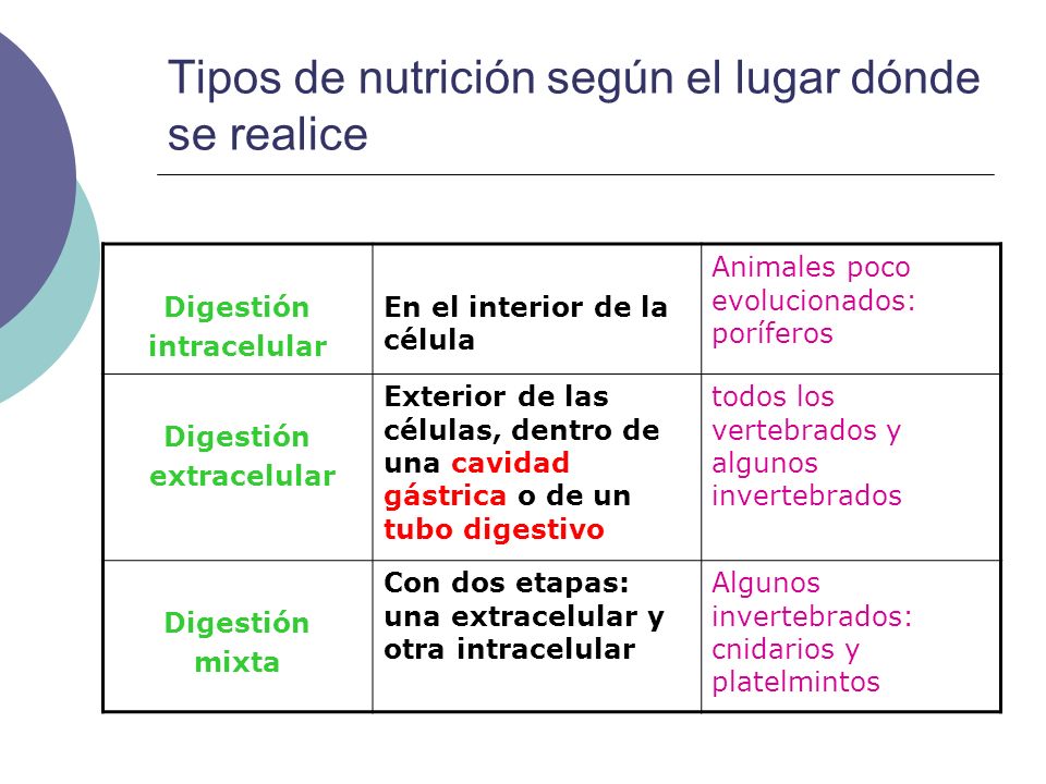 Tipos de nutrición según el lugar dónde se realice