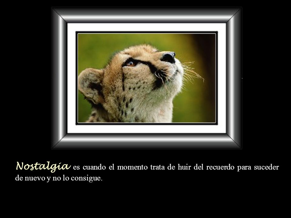 Nostalgia es cuando el momento trata de huir del recuerdo para suceder de nuevo y no lo consigue.