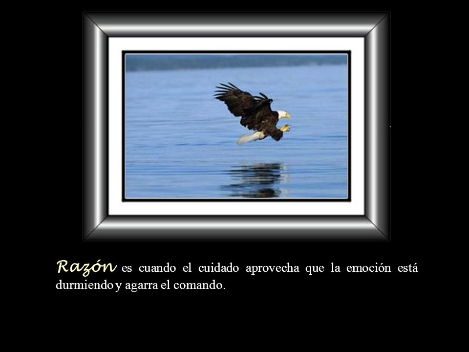 Razón es cuando el cuidado aprovecha que la emoción está durmiendo y agarra el comando.